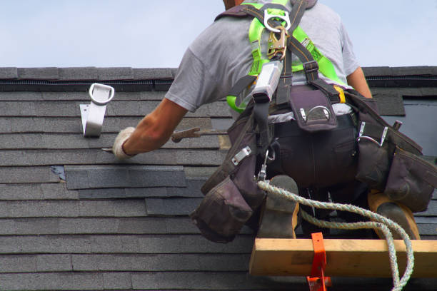 Best Gutter Installation and Roofing  in Dahlone, GA