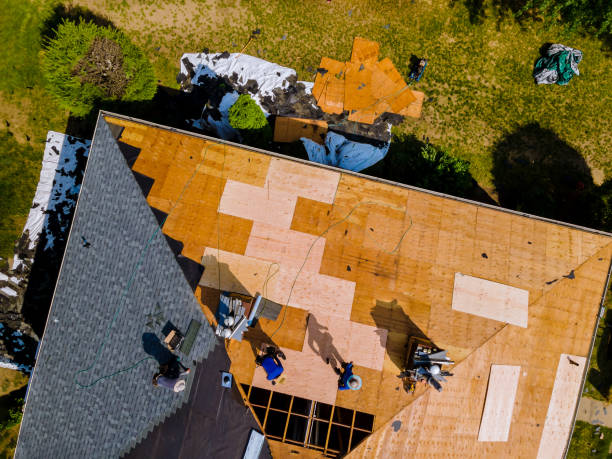 Best Roof Maintenance Services  in Dahlone, GA