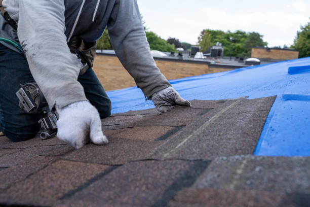 Gutter Installation and Roofing in Dahlonega, GA