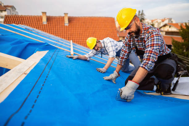 Best Affordable Roofing Company  in Dahlone, GA