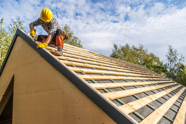 Best Roof Repair Specialists  in Dahlone, GA