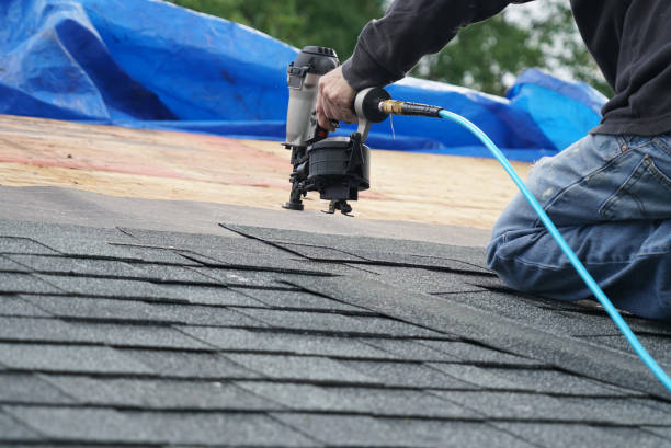 Best Gutter Installation and Roofing  in Dahlone, GA