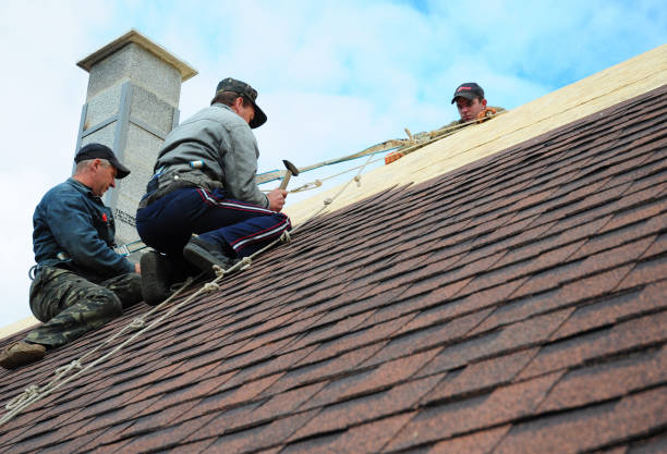 Best New Roof Installation  in Dahlone, GA