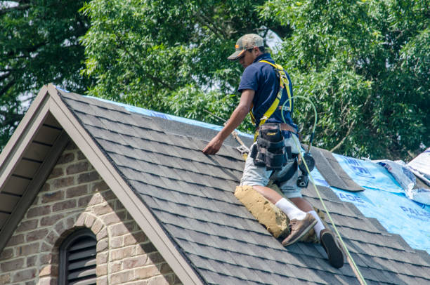 Best Roof Gutter Cleaning  in Dahlone, GA